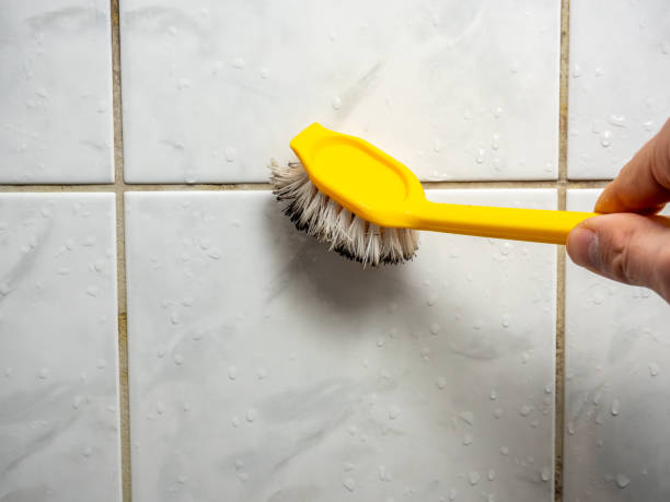 Best Toxic Mold Removal  in Hart, TX