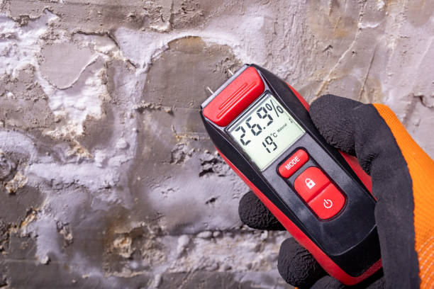 Best Residential Mold Removal  in Hart, TX