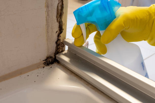Best Local Mold Removal Service  in Hart, TX