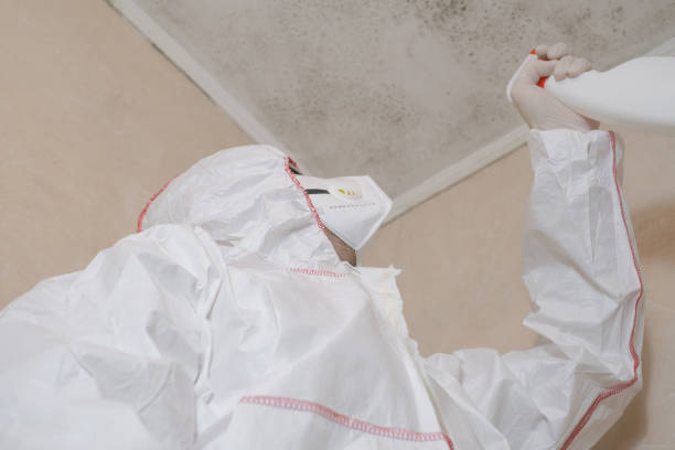 Best Commercial Mold Removal  in Hart, TX