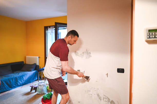 Professional Mold Removal in Hart, TX
